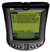 Palm PC